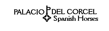 FFF Logo